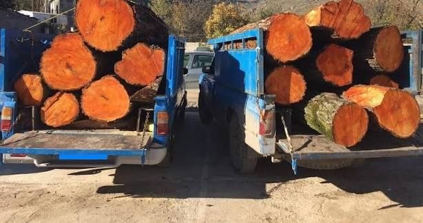 توقیف ۲ دستگاه نیسان چوب قاچاق در عباسآباد